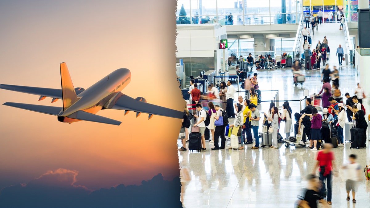 Travel and flight