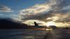 airports travel flight