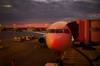 airports travel flight