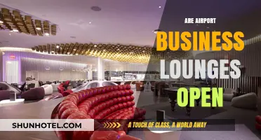 Are Airport Business Lounges Open? A Comprehensive Guide for Travelers