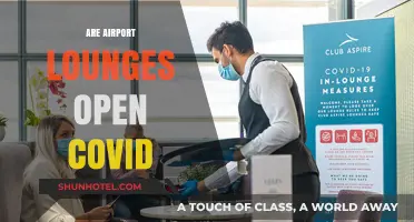 Are Airport Lounges Open During COVID? What Travelers Need to Know