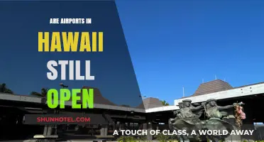 Are Hawaii Airports Open? Current Status and Travel Updates