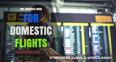 Are Domestic Flights Operational? Current Airport Status and Updates