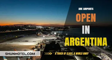 Are Argentina's Airports Open? Current Status and Travel Updates