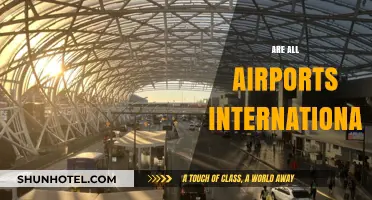 Are All Airports International? Exploring Domestic vs. Global Hubs