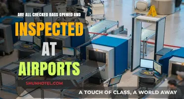 Do Airports Inspect Every Checked Bag? Unpacking Security Procedures