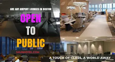 Boston Airport Lounges: Public Access Options and Entry Requirements