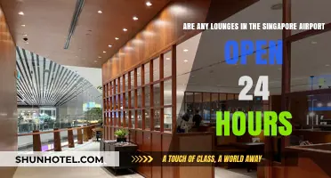 24-Hour Lounges at Singapore Airport: Are Any Always Open?