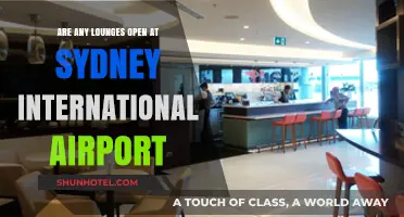 Sydney International Airport Lounges: Which Ones Are Open Now?
