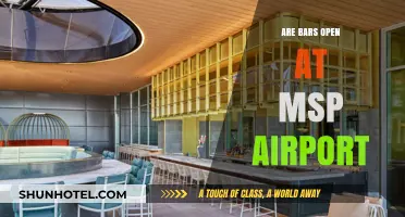 Bars at MSP Airport: Open Hours and Travel Tips