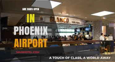 Phoenix Airport Bars: Are They Open for Travelers?