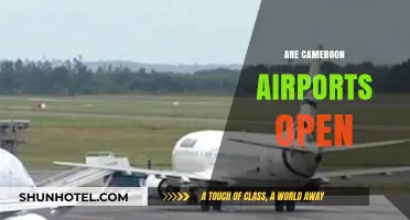 Cameroon Airports Operational Status: Are They Open for Travel?