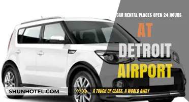 Detroit Airport Car Rental: Are 24-Hour Services Available?