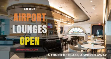 Delta Airport Lounges: Current Open Status and Access Guide