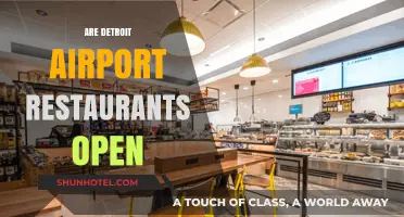 Detroit Airport Restaurants: Current Openings and Dining Options for Travelers