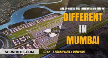 Mumbai's Airports: Exploring Domestic vs. International Differences