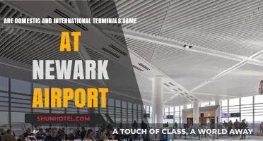 Newark Airport Terminals: Are Domestic and International the Same?