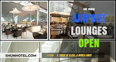 Dubai Airport Lounges: Are They Open for Travelers Now?