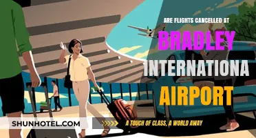 Bradley International Airport Flight Cancellations: What Travelers Need to Know