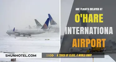 Are Flights Delayed at O'Hare? Understanding Chicago's Airport Wait Times