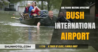 Flood Waters Impact: How Bush International Airport is Copping