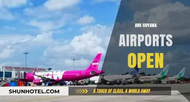 Are Guyana Airports Open? Current Status and Travel Updates
