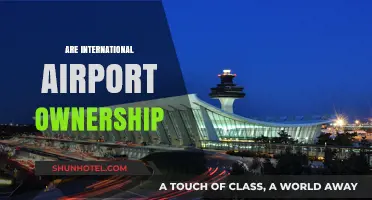 Who Owns the Skies? Exploring International Airport Ownership Models