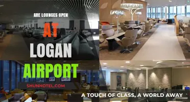 Logan Airport Lounges: Current Status and Access Guide for Travelers