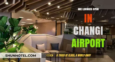Changi Airport Lounges: Current Status and Access Information for Travelers