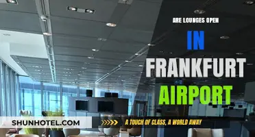 Frankfurt Airport Lounges: Current Status and Access Information