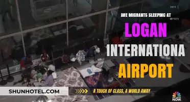 Migrants Sleeping at Logan Airport: Fact or Fiction?