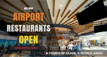 MSP Airport Dining Guide: Are Restaurants Open for Travelers?