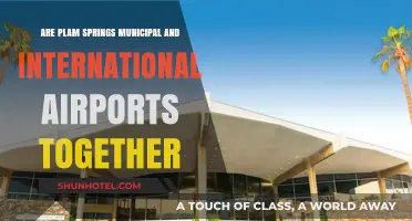 Palm Springs Municipal vs. International Airport: Are They Connected?
