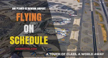 Newark Airport Flight Status: Are Planes Operating on Schedule?