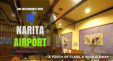 Narita Airport Dining Guide: Are Restaurants Open for Travelers?