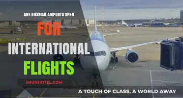 Russian Airports: Current Status for International Flights in 2023