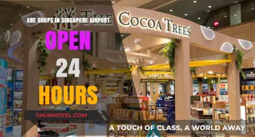 Are Singapore Airport Shops Open 24/7? A Quick Guide