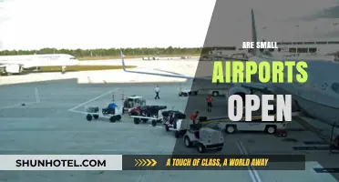Are Small Airports Open? Exploring Accessibility and Operations Nationwide