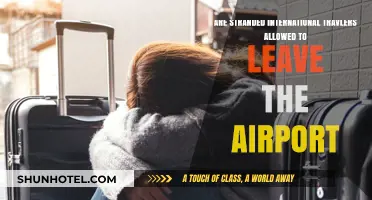 Can Stranded International Travelers Exit the Airport? Legal Insights