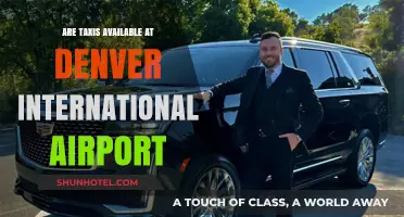 Taxi Services at Denver International Airport: Availability and Options
