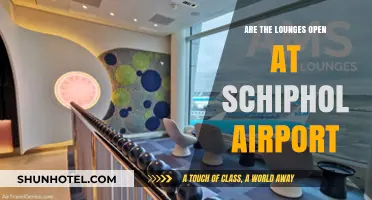 Schiphol Airport Lounges: Current Opening Status and Access Guide