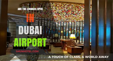 Dubai Airport Lounges: Are They Open for Travelers?