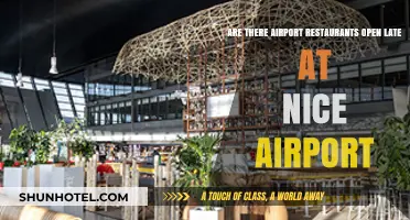 Late-Night Dining at Nice Airport: Which Restaurants Stay Open?