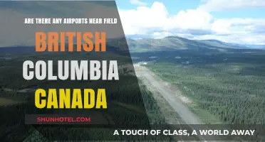 Airports Near Field, BC: Travel Options and Accessibility