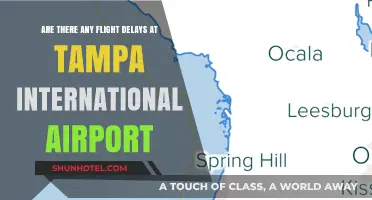 Tampa International Airport: Current Flight Delay Status and Updates