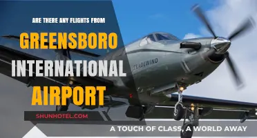 Flights from Greensboro International Airport: Routes, Destinations, and Availability