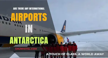 Exploring Antarctica's Aviation: Are There International Airports on the Ice?