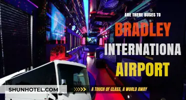 Buses to Bradley International Airport: Your Transportation Options Explained