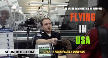Navigating U.S. Airport Immigration: What to Expect When Flying In