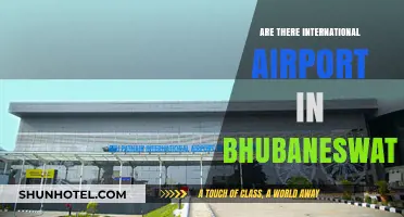 Exploring Bhubaneswar's International Airport: A Comprehensive Guide for Travelers